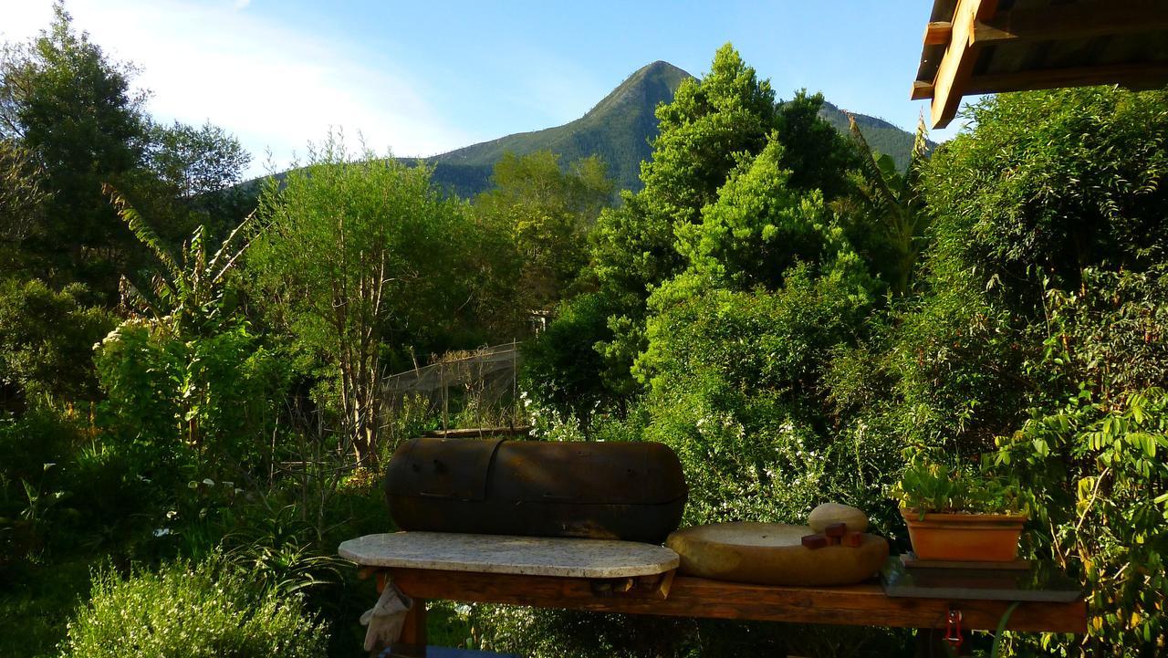 Boutique Vintage Forest Cabin Stormsrivier Exterior foto