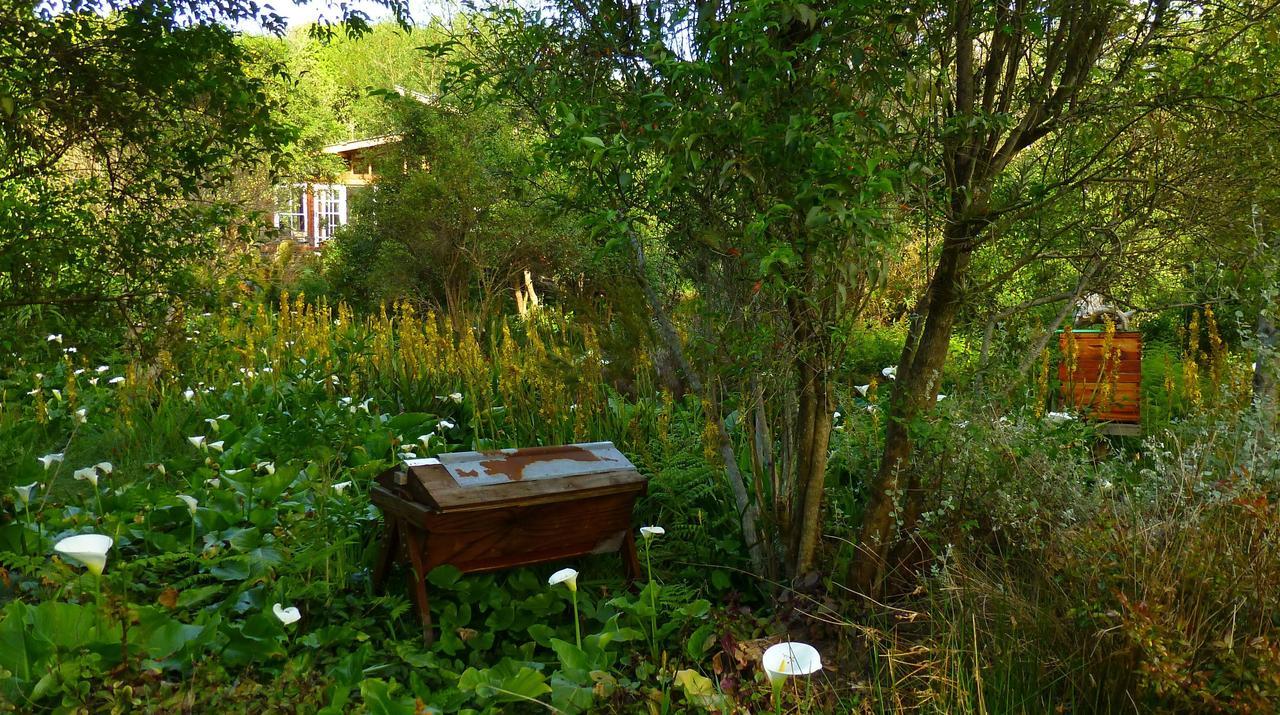 Boutique Vintage Forest Cabin Stormsrivier Exterior foto