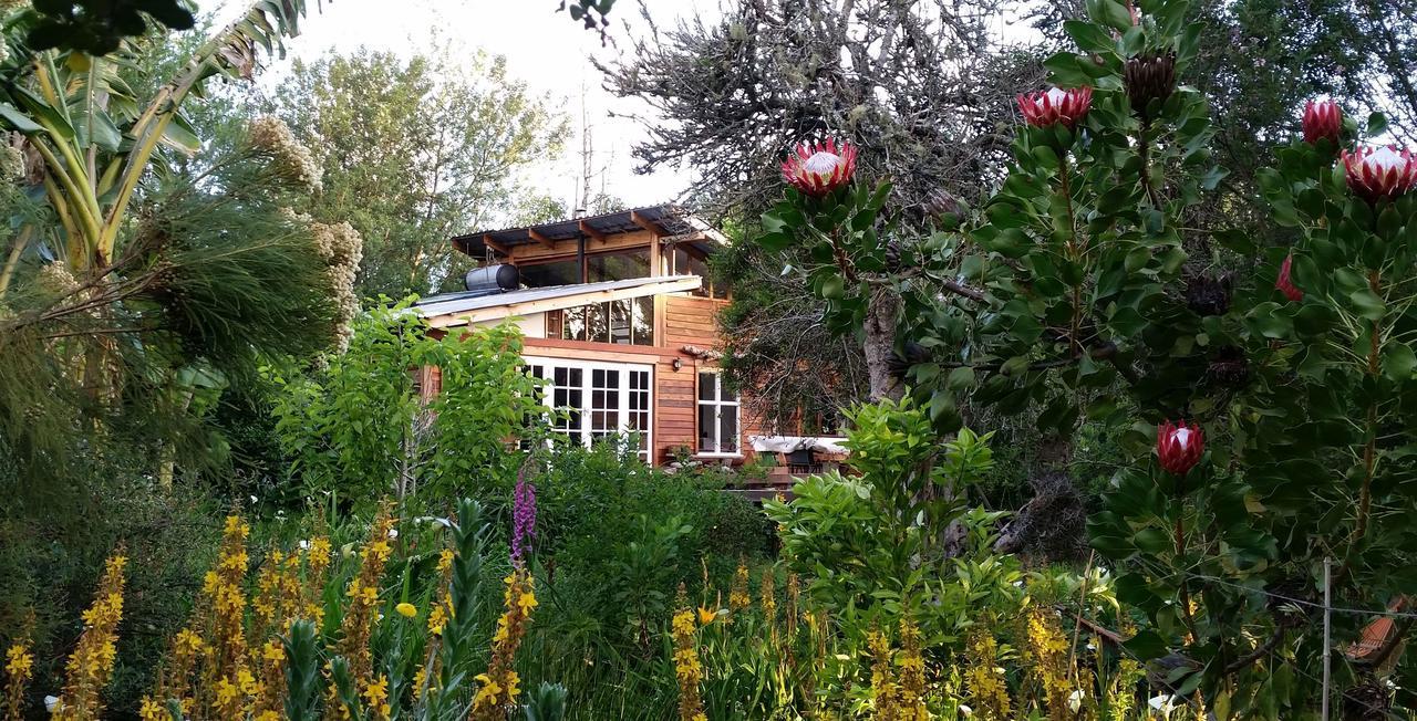 Boutique Vintage Forest Cabin Stormsrivier Exterior foto